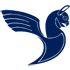 Iran Air