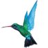 Caribbean Airlines logo