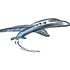 Twin Jet logo